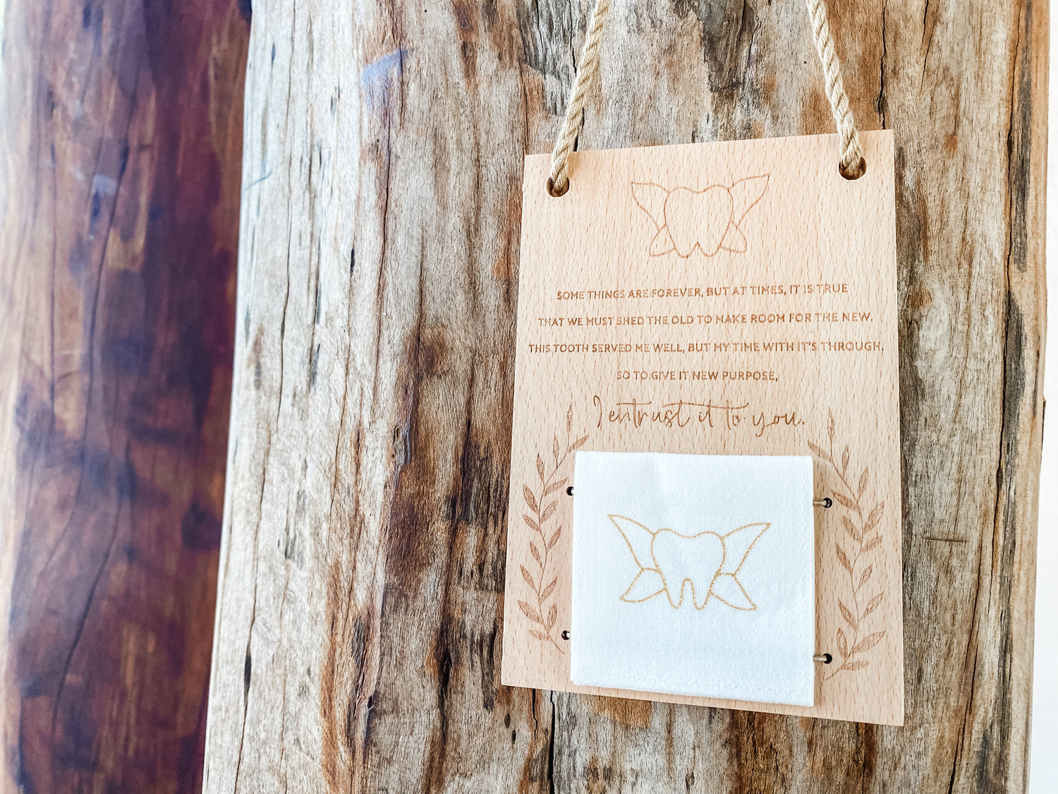 Tooth Fairy Door Hanger by 20 Moments of Tooth